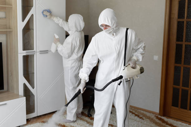 Best DIY Mold Remediation Support Services in Allegan, MI
